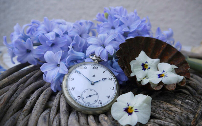 Pocket Watch with Flowers — Purple