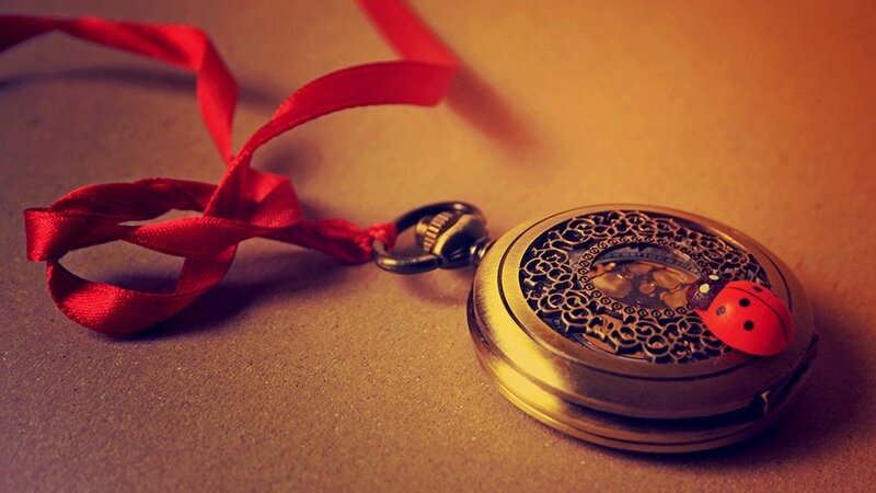 Pocket Watch with Ladybug — Brown