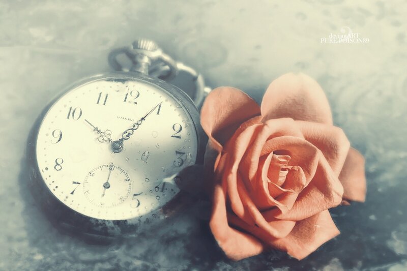 Pocket Watch with Rose — White