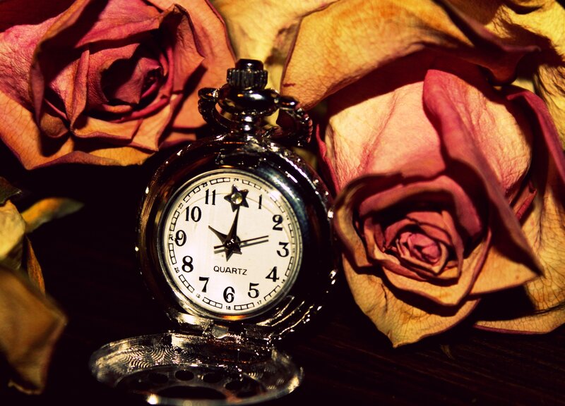 Pocket Watch with Roses — Brown