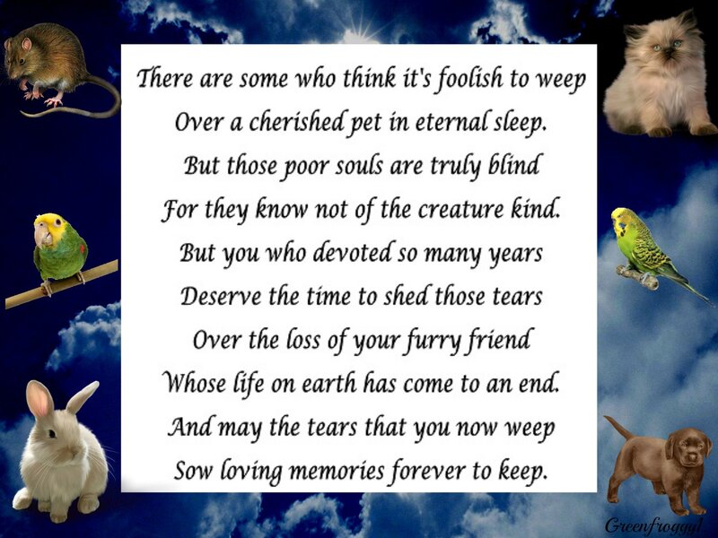 Poem About Pet Loss — Blue