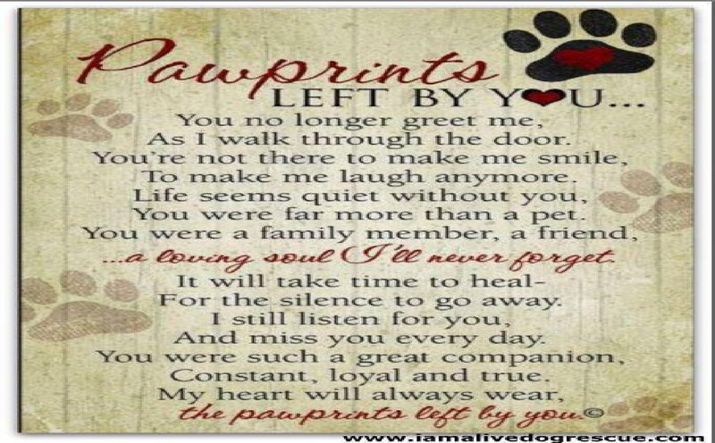 Poem About Pet Loss