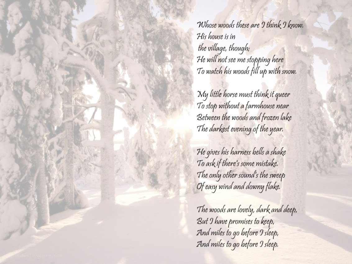 Poem in a snowy forest
