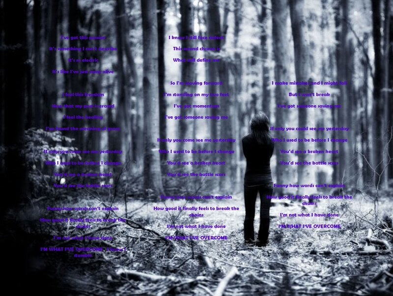 Poem in Forest