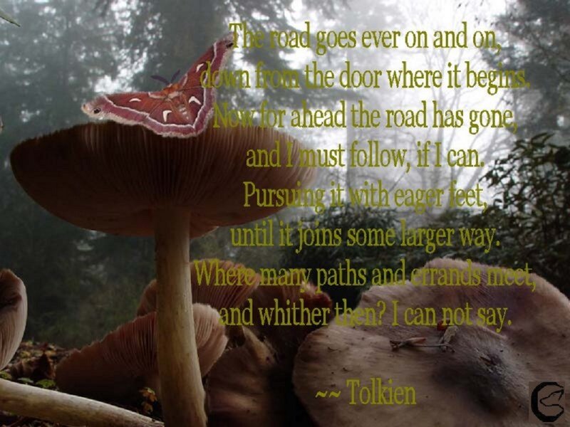 Poem on a mushroom forest