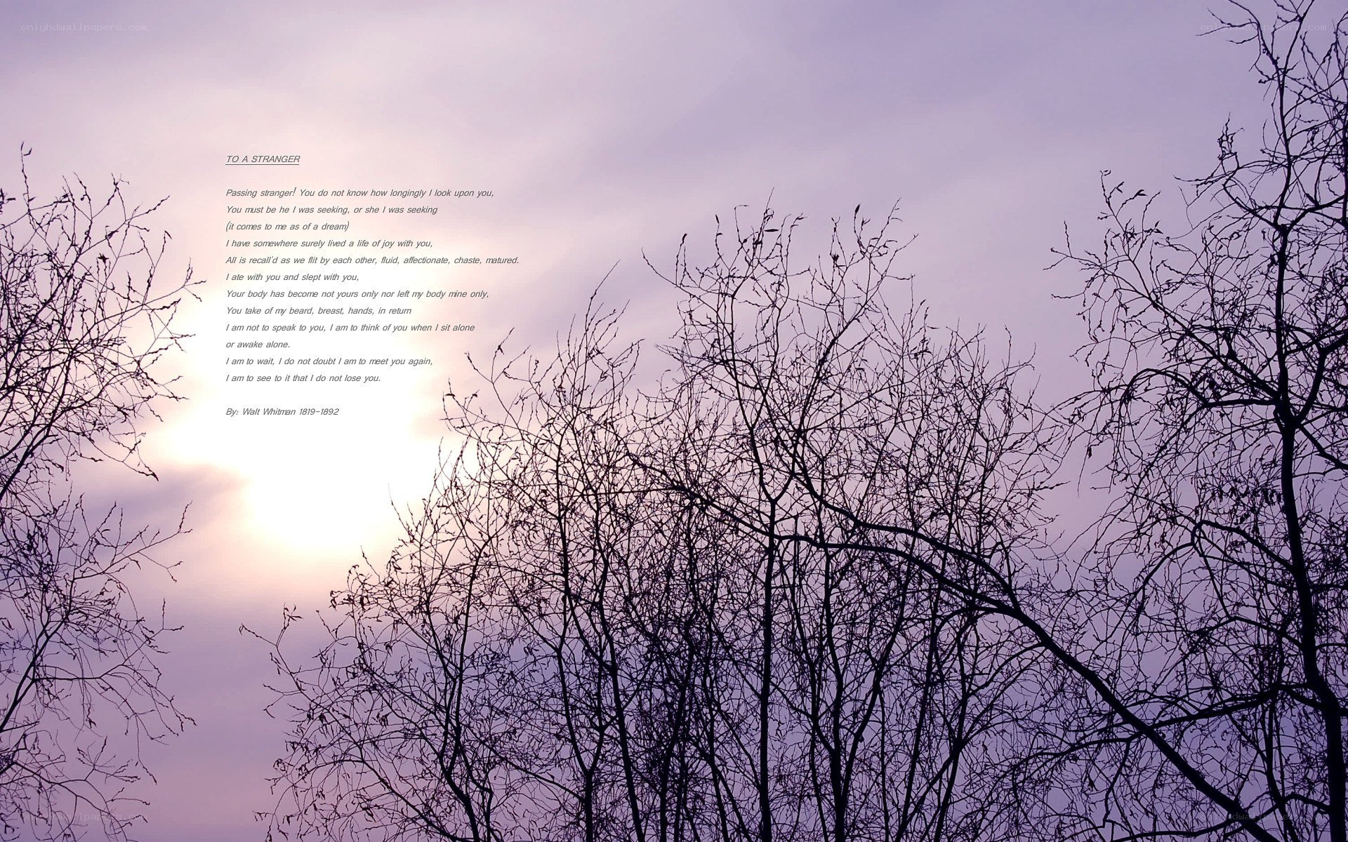 Poem on a purple sky