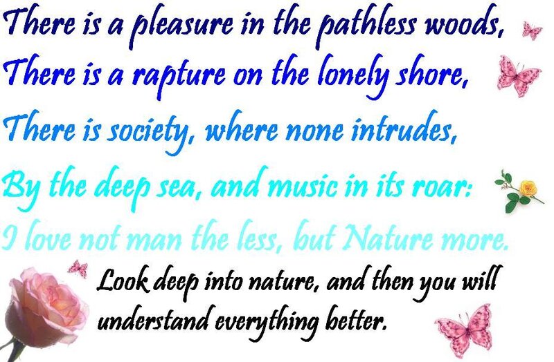 Poem with Flowers and Butterflies