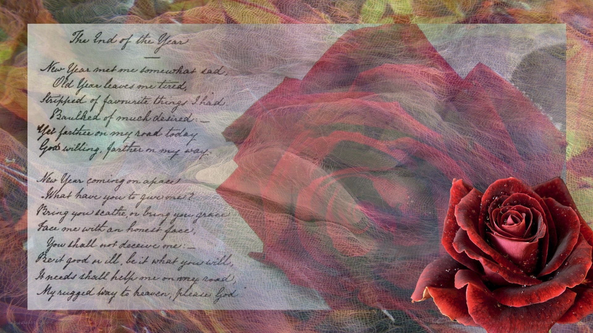Poem with red rose