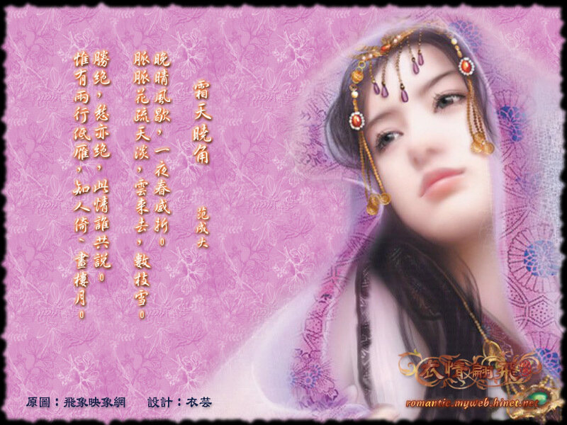 Poem with woman in veil