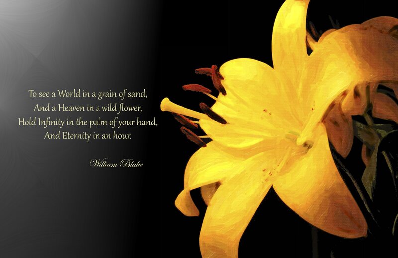 Poem with yellow flower