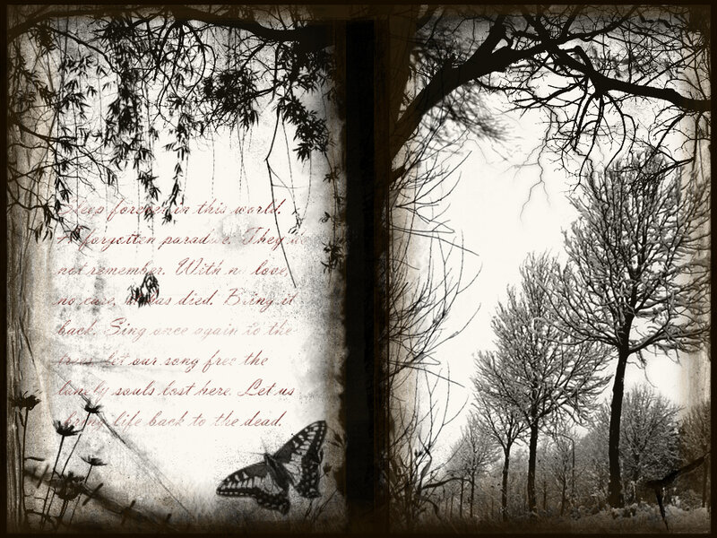 Poetic forest scene