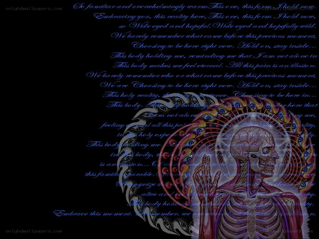 Poetic text over abstract art