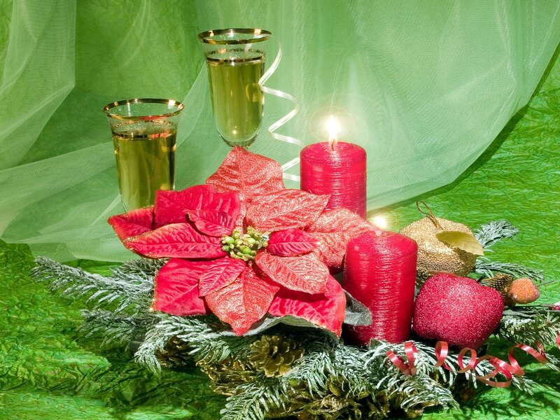 Poinsettia and Candles — Green, Festive