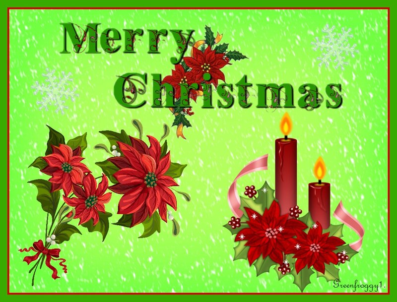 Poinsettia and Candles — Green