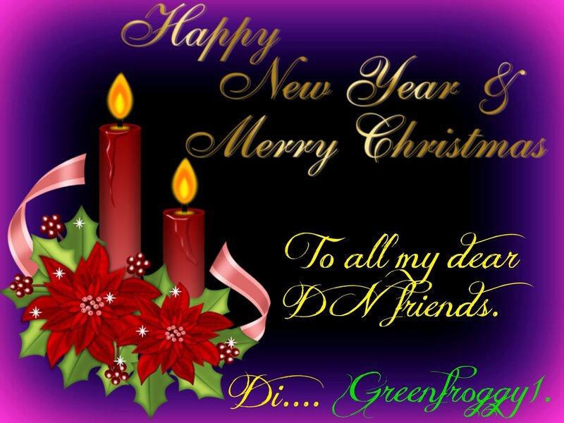 Poinsettia and Candles — Purple