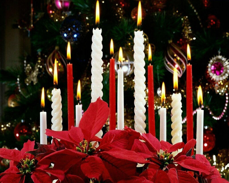 Poinsettia and Candles — Red, Festive
