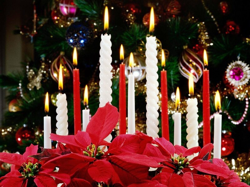 Poinsettia and Candles — Red, Festive, Winter, Photograph