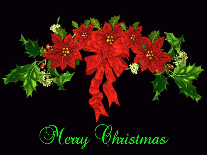 Poinsettia and Holly Arrangement — Red
