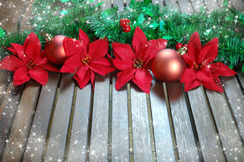Poinsettia and Ornaments — Red, Festive, Winter, Photograph