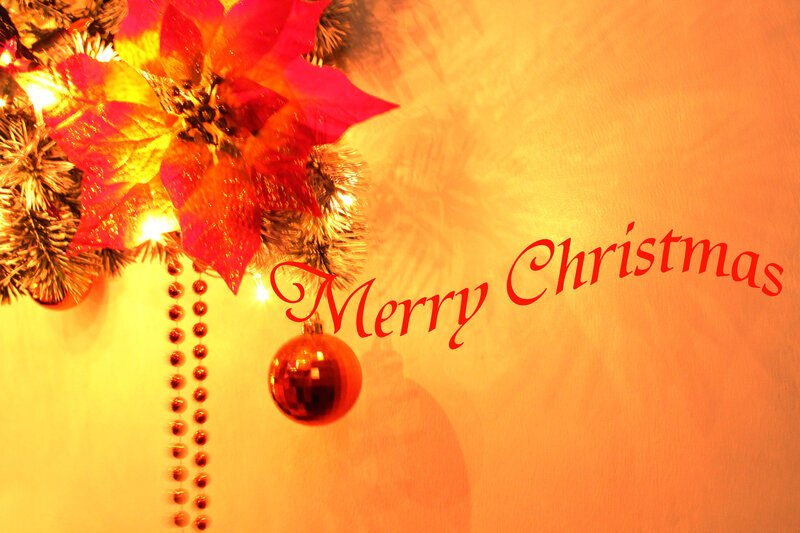 Poinsettia and Ornaments — Red, Festive, Winter