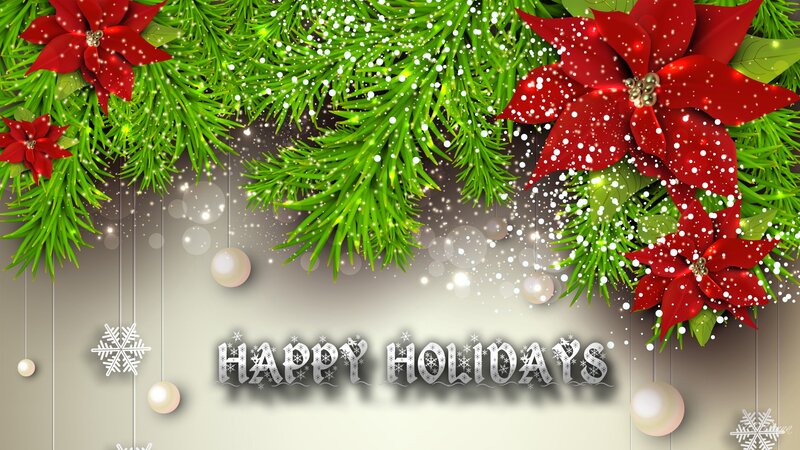 Poinsettia and Pine Branches — Green