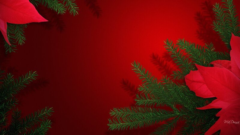 Poinsettia and Pine Branches