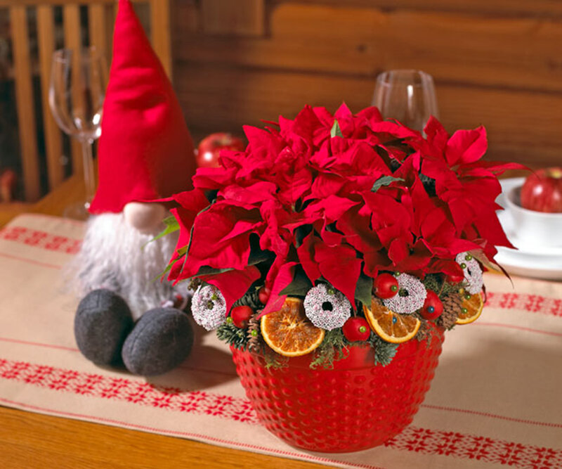 Poinsettia Arrangement — Red