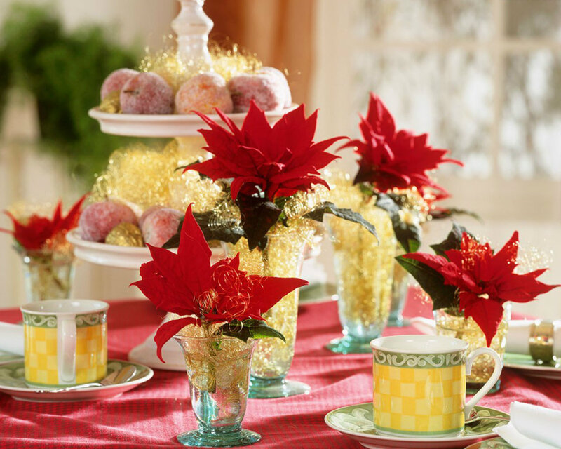 Poinsettia Centerpiece — Red