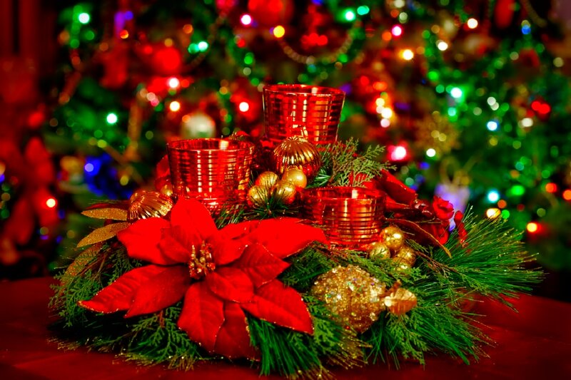 Poinsettia Centerpiece