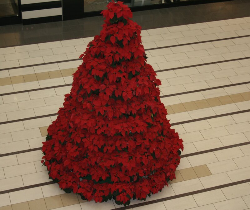 Poinsettia Christmas Tree