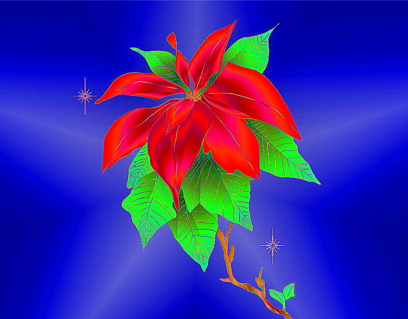 Poinsettia Flower