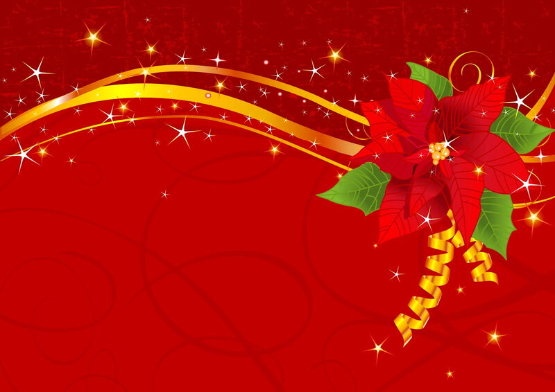 Poinsettia Flower with Ribbon