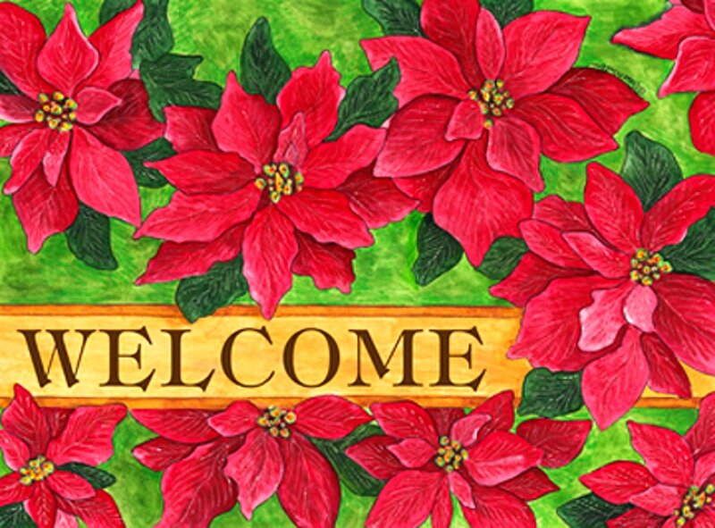 Poinsettia Flowers — Red, Festive, Winter, Illustration, Leaves, Text