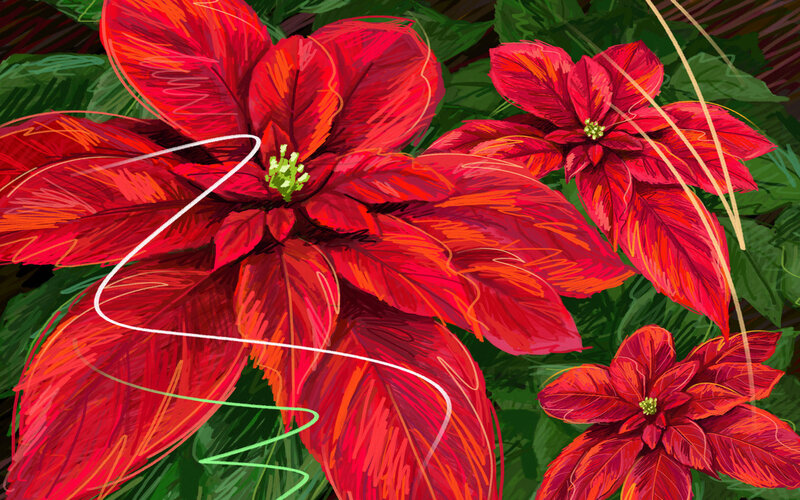 Poinsettia Flowers — Red, Vibrant, Digital Art