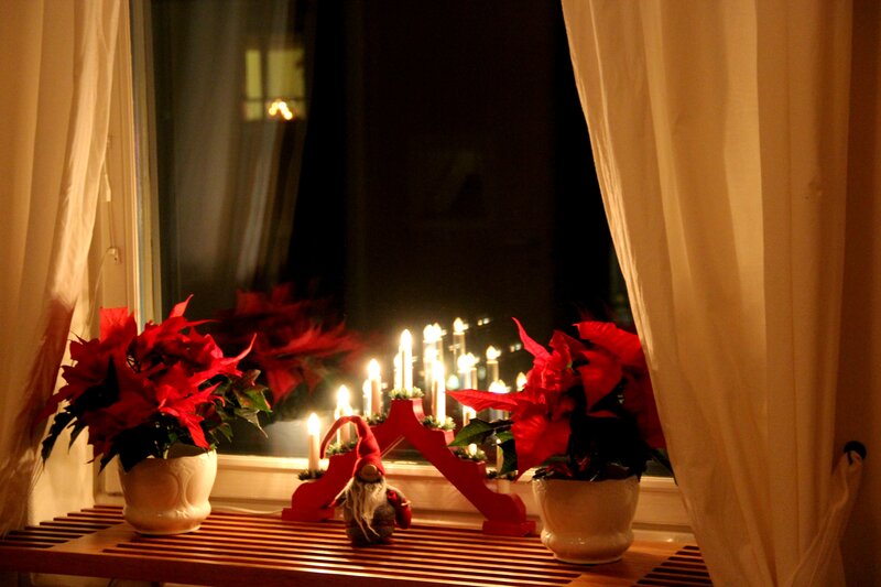 Poinsettia Plants on Windowsill