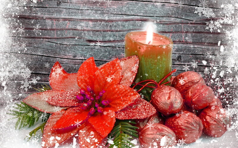 Poinsettia with Candle