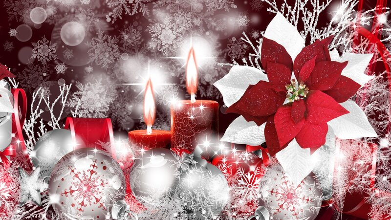 Poinsettia with Candles — Red, Festive, Winter