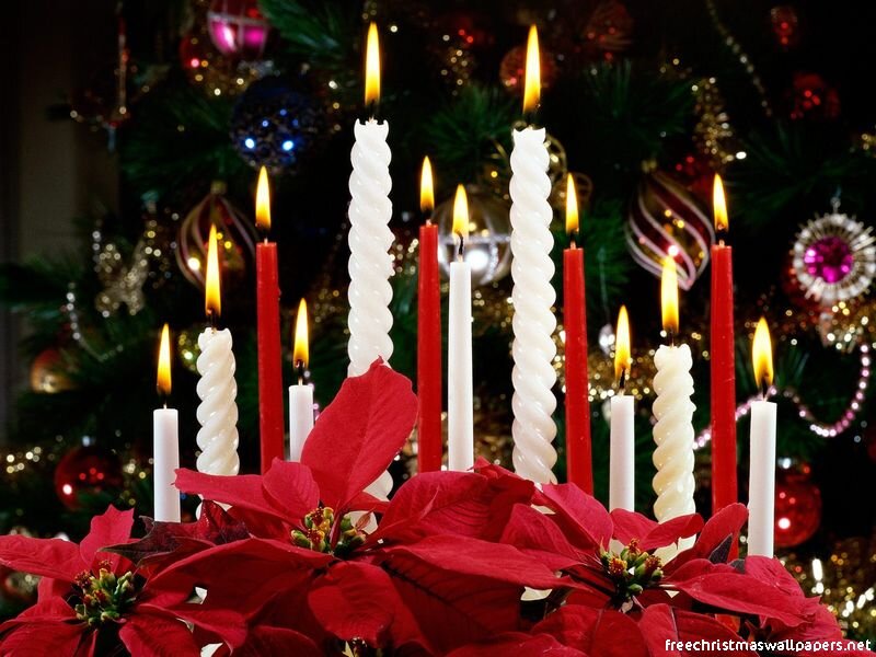 Poinsettia with Candles