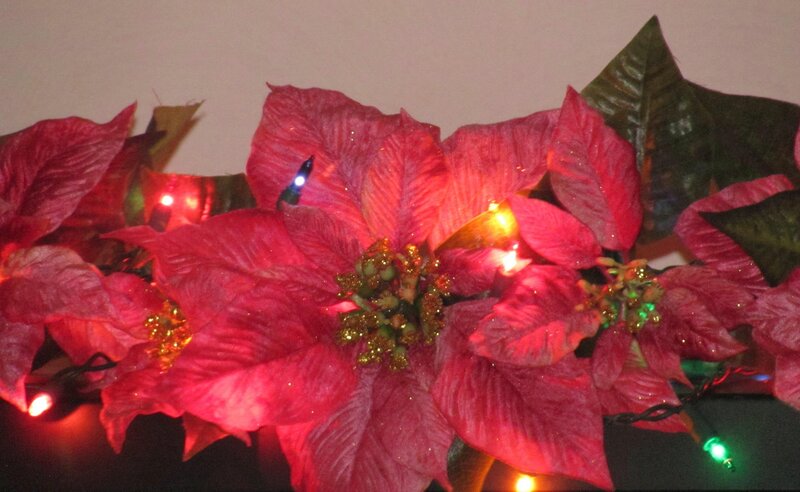 Poinsettia with Lights