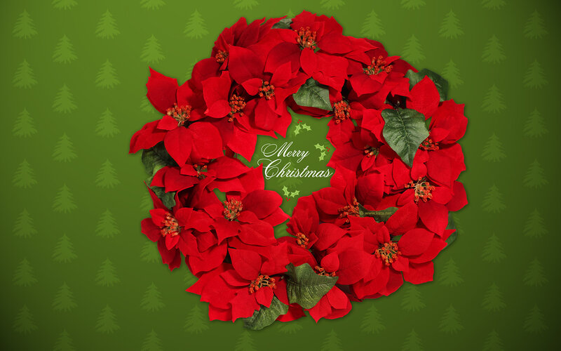 Poinsettia Wreath