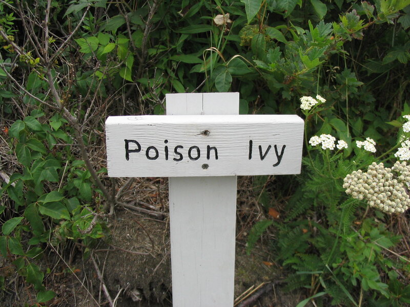 Poison Ivy sign in garden