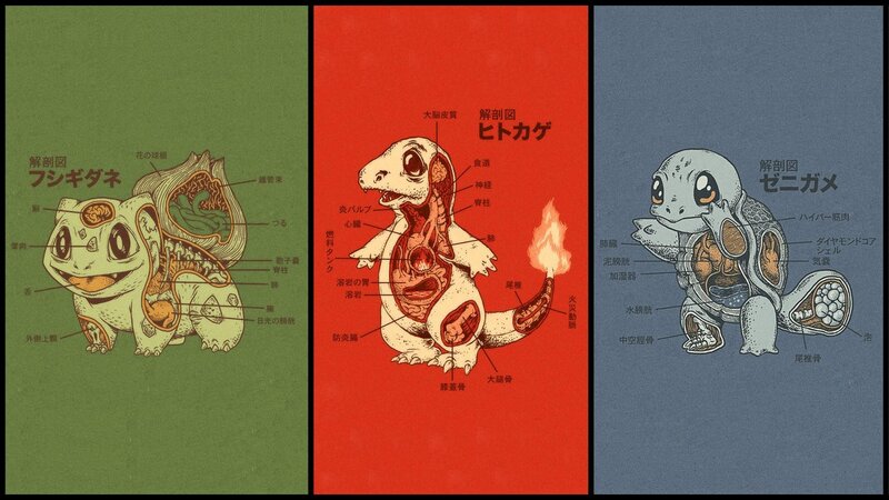 Pokémon anatomy diagrams