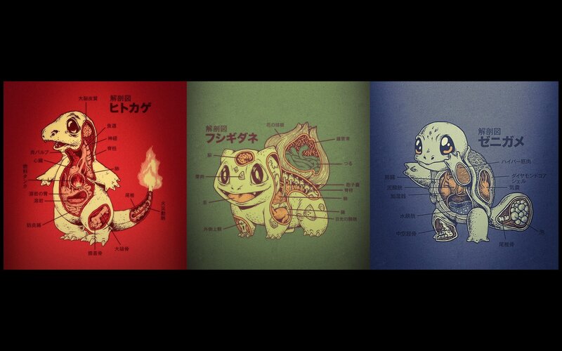 Pokémon Anatomy Diagrams — Red