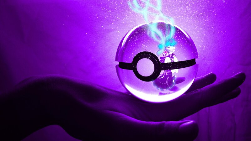 Pokémon ball with character