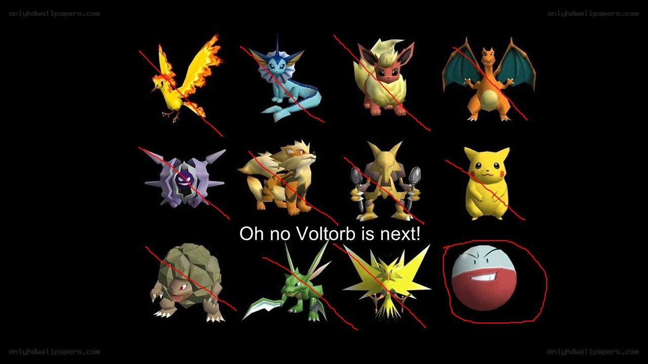 Pokémon battle lineup