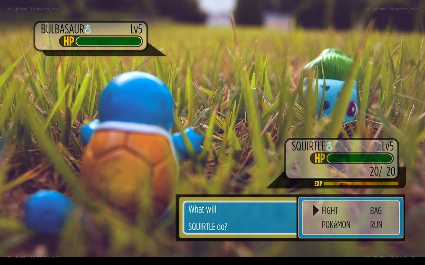 Pokémon battle scene