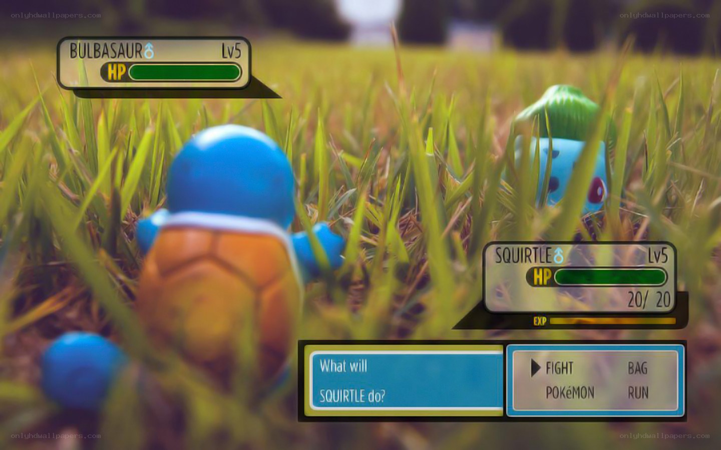 Pokémon battle scene