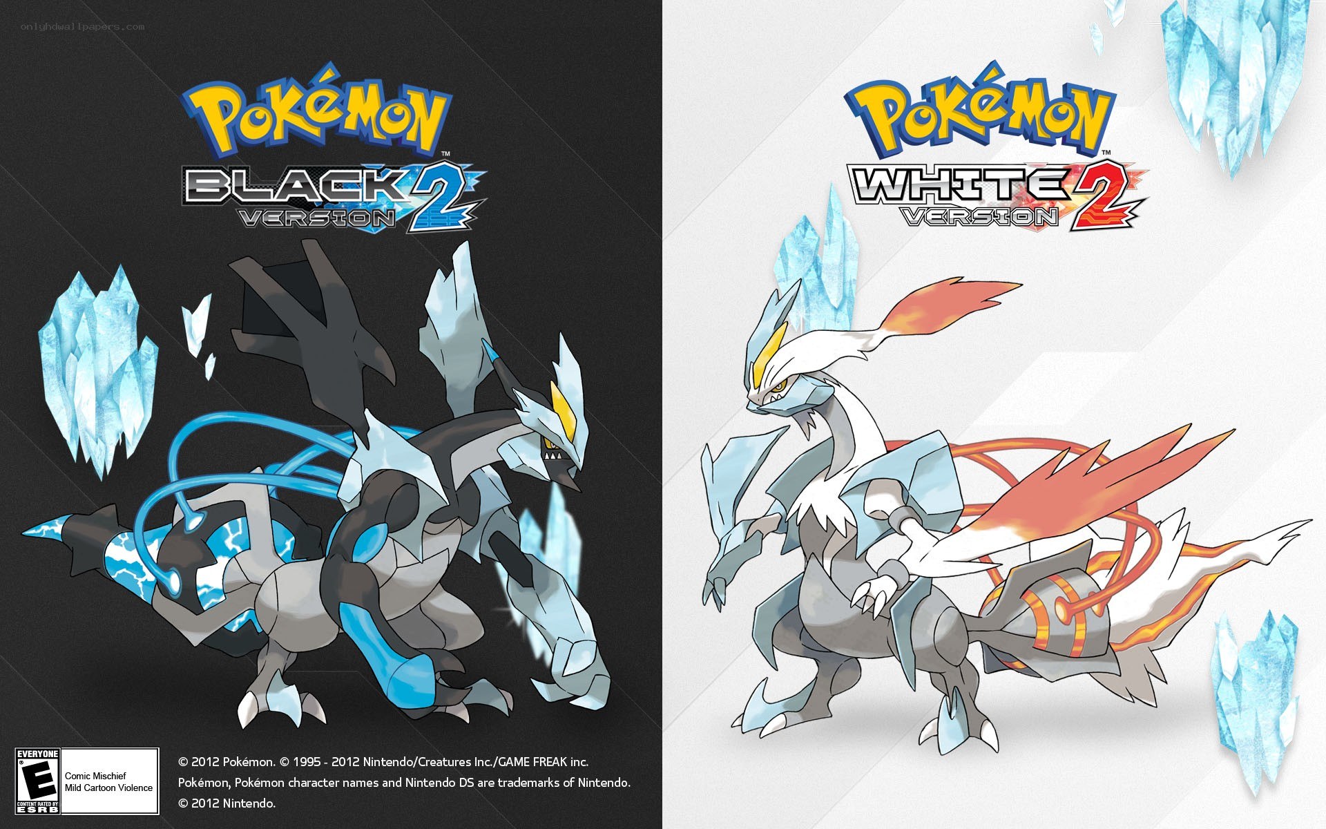 Pokémon Black and White 2 artwork