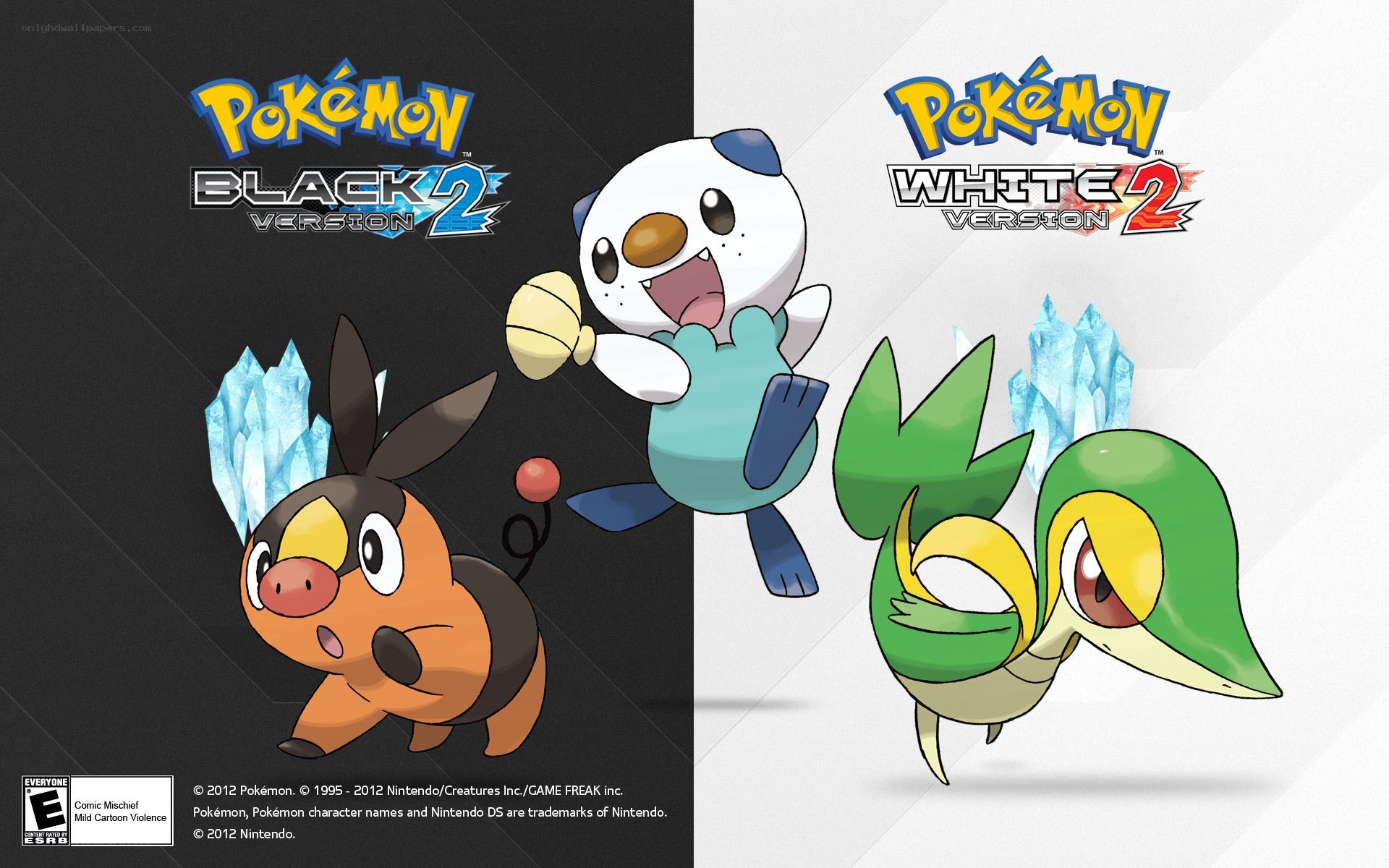 Pokémon Black and White 2