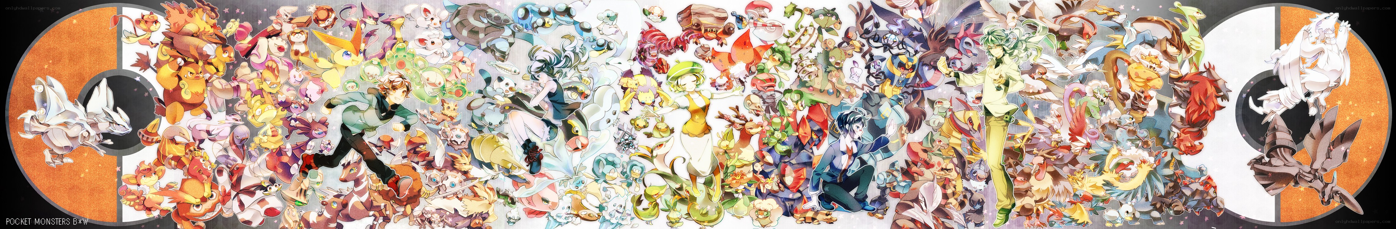 Pokémon Black and White artwork